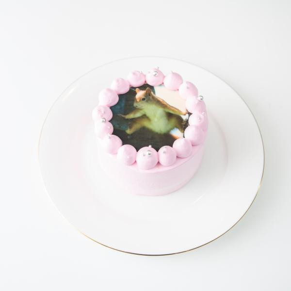 パステルカラー写真ケーキ♪選べる8色 誕生日ケーキや記念日などのお祝いに♪（プリントケーキ、バースデーケーキ） 3号 9cm 2