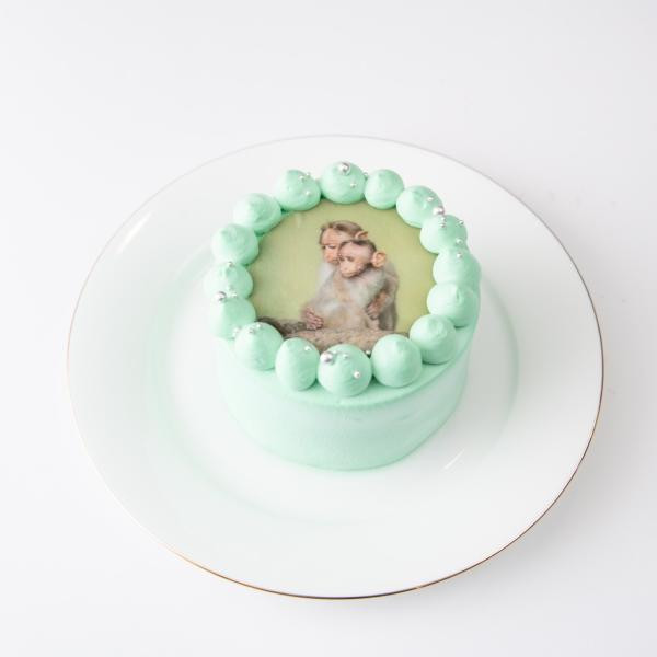 パステルカラー写真ケーキ♪選べる8色 誕生日ケーキや記念日などのお祝いに♪（プリントケーキ、バースデーケーキ） 3号 9cm 4