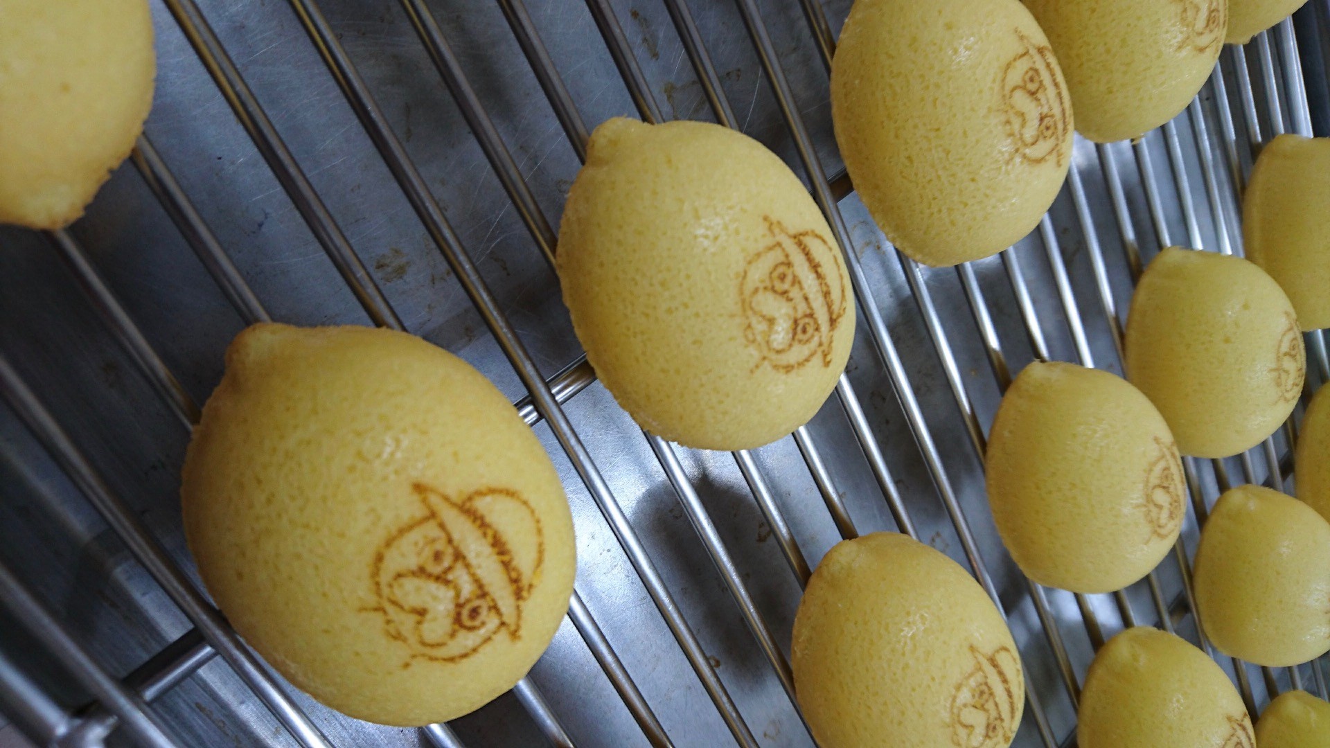 レモンケーキ 10個入り