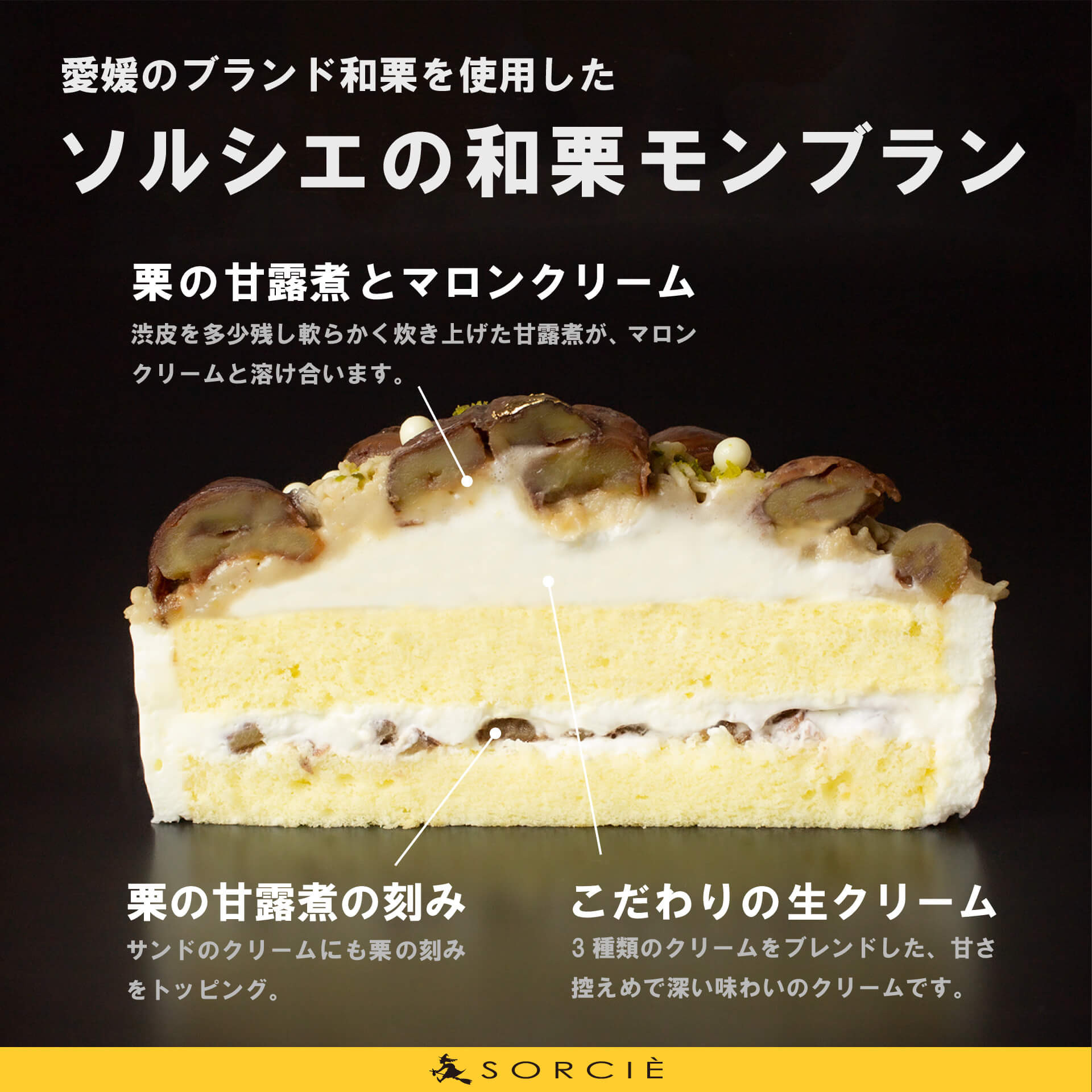 魔法洋菓子店ソルシエ クリスマスケーキ コレクション 22 和栗 モンブラン デコレーション 5号 直径16cm 5人 7人分 約700g クリスマス22 魔法洋菓子店ソルシエ Cake Jp