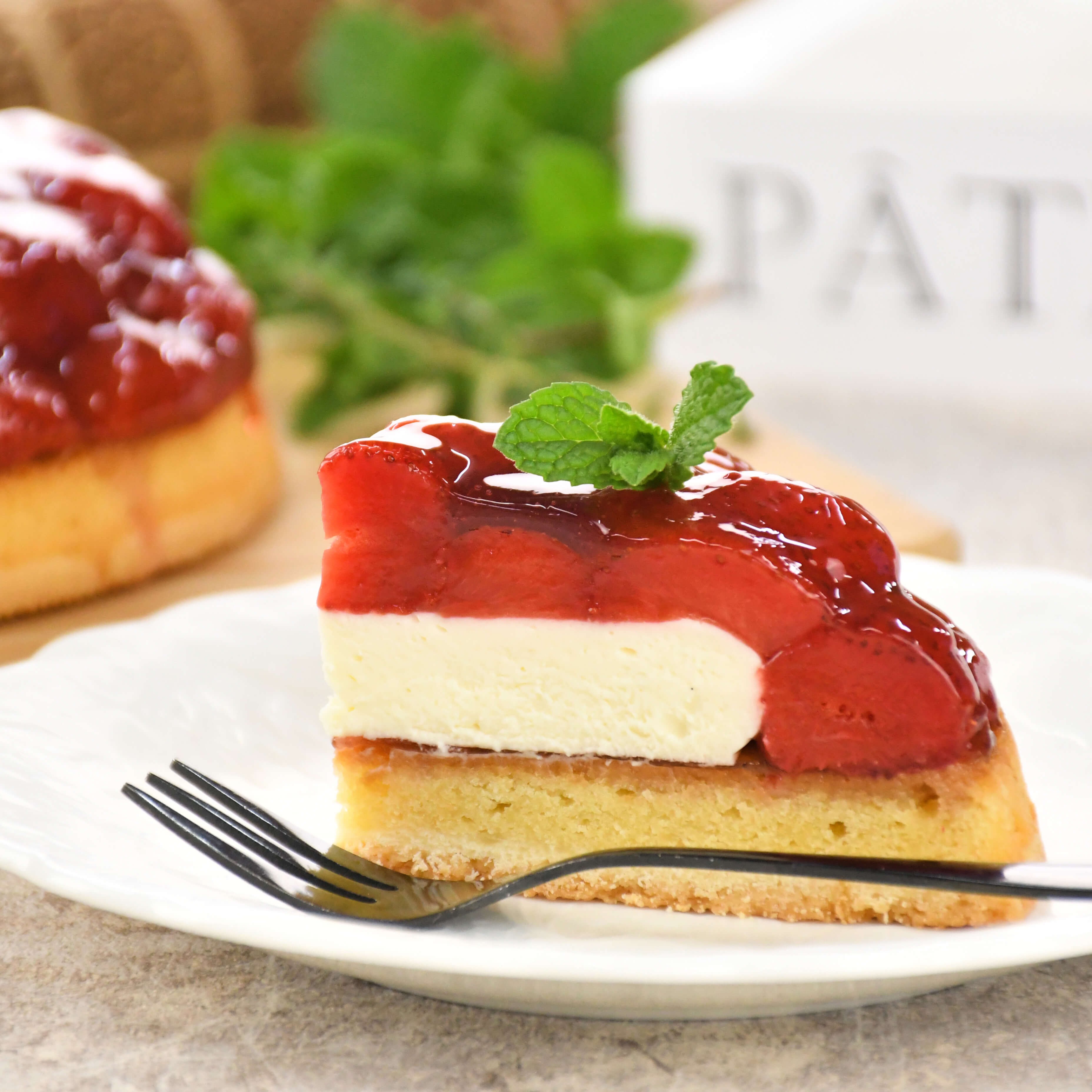  R|[g^g P[L  JX^[hN[  oI6 a19cm 6l`8l 880gyIׂ NX}X o[Xf[ z XC[c nEB2025 NX}X2025