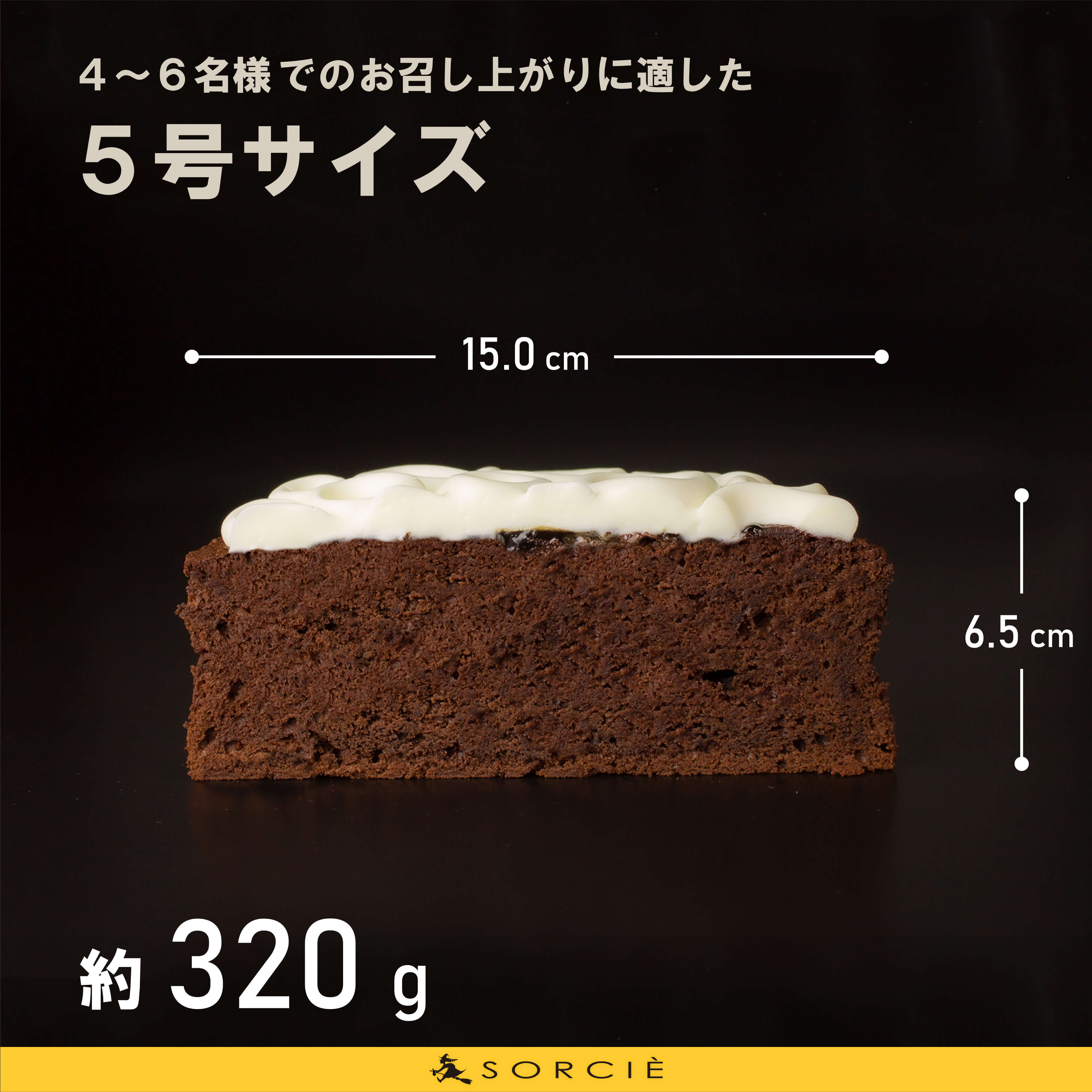 魔法洋菓子店ソルシエ チョコレートケーキ ガトーショコラ クラシック 5号 直径15cm 4人 6人分 約3g 魔法洋菓子店ソルシエ Cake Jp