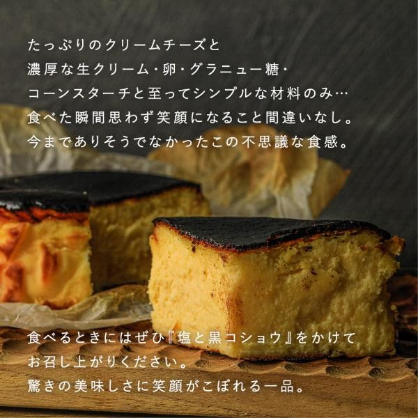 バスクチーズケーキ_ラニーチーズ 2