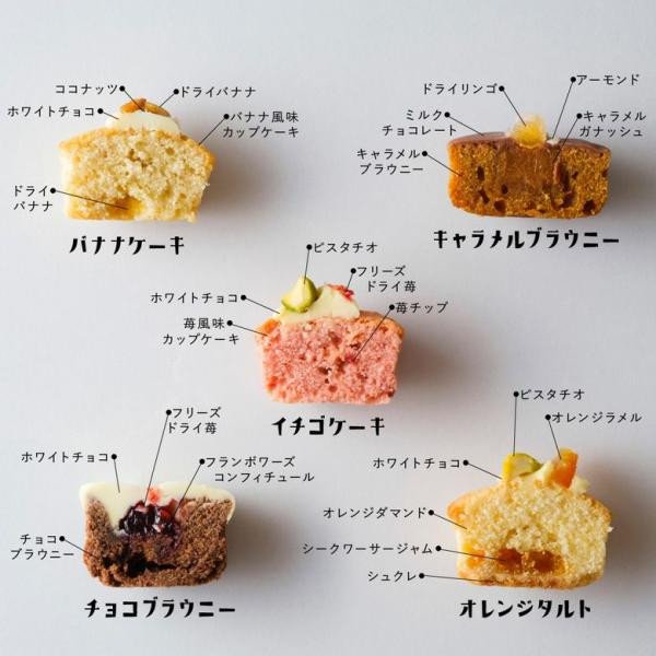 【KINEEL】姫ガトー（9個入）可愛いプチケーキセット（焼菓子9個セット） 6