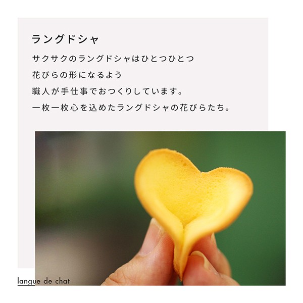【KINEEL】 ルフル・バニラ（8個入）お花の形のかわいいラングドシャスイーツ（焼菓子8個セット）:95008　 4