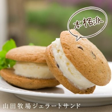 山田サン（山田牧場ジェラートサンド）