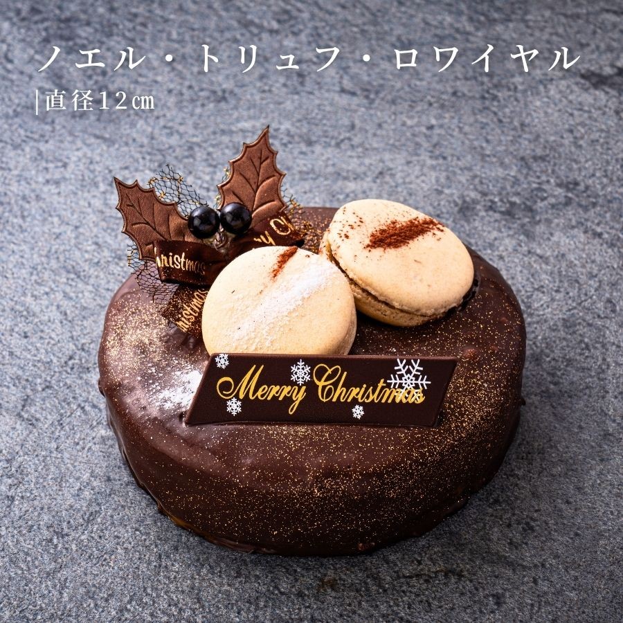 mGEgtEC 4 12cm `R[gȊ֌W NX}X2025