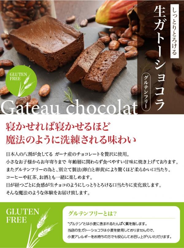 【グルテンフリー】 訳ありガトーショコラ「アウトレット」3本セット 600ｇ チョコレートな関係 3