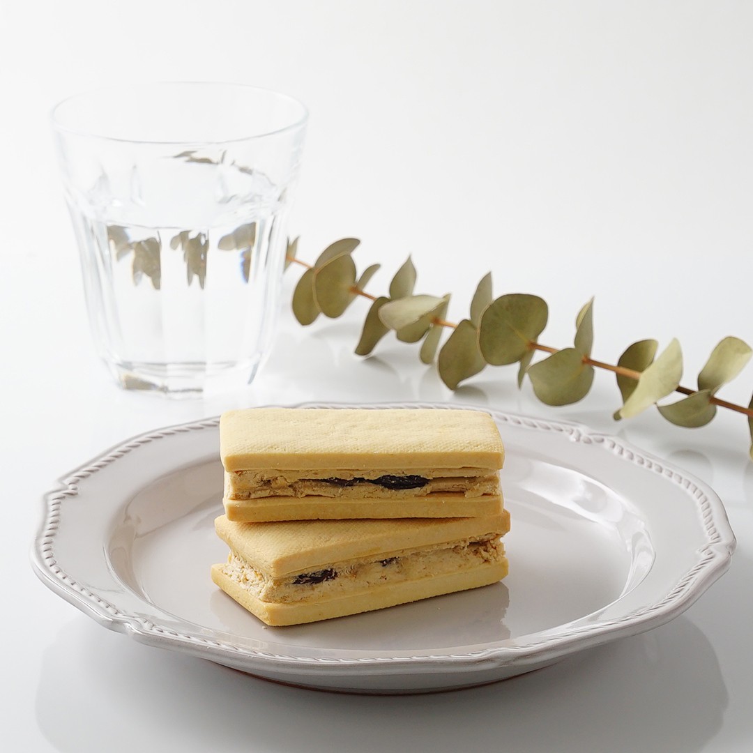 `}Nr ĕ̃}Nro^[Th Cv[Y 5sB[KXC[ct