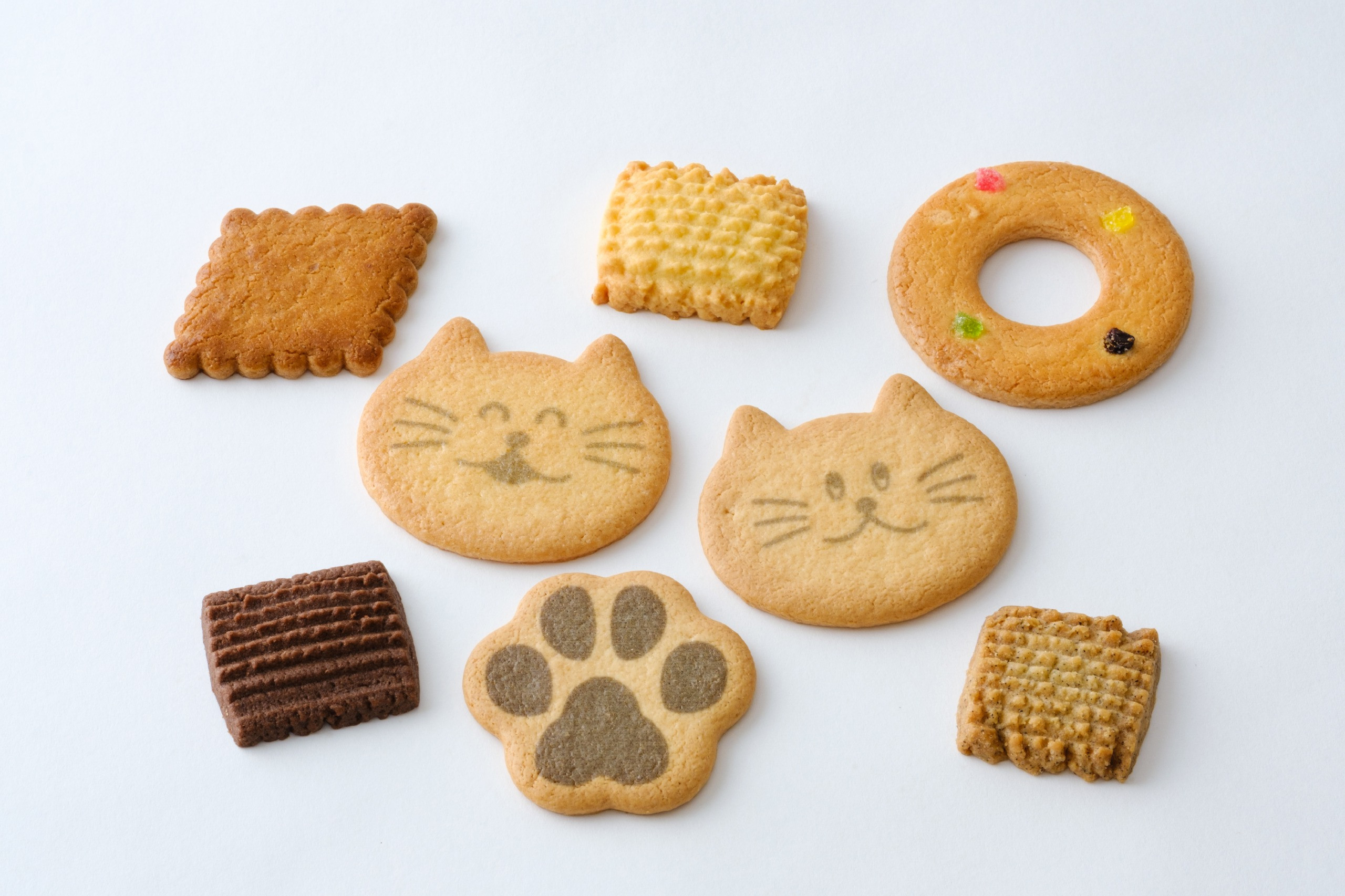 ねこ缶 365日クッキーがつづる幸せ お歳暮冬ギフト22 泉屋東京店 Cake Jp