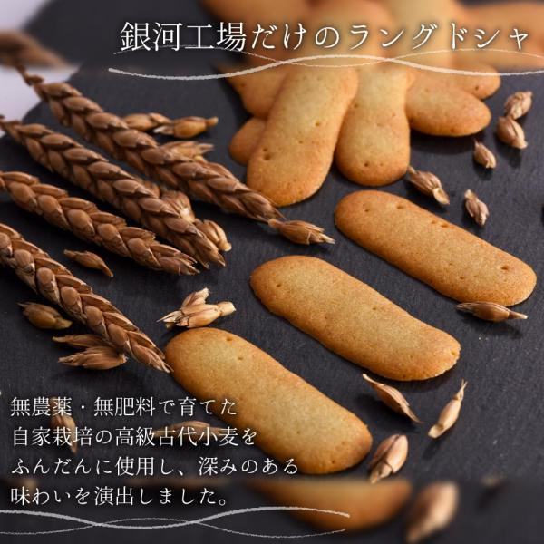 銀河クッキー ラングドシャ キッチン缶 無農薬 自家栽培 古代小麦 国産バター お菓子のミカタ（銀河工場） | Cake.jp