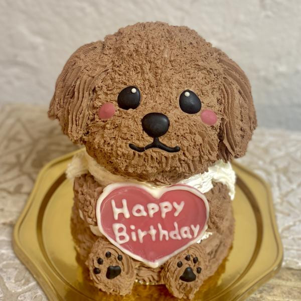 トイプードルの立体ケーキ 犬 ガナッシュクリーム 誕生日 センイルケーキ 動物ケーキ ドンムルケーキ Tipitinats Cakes Cake Jp