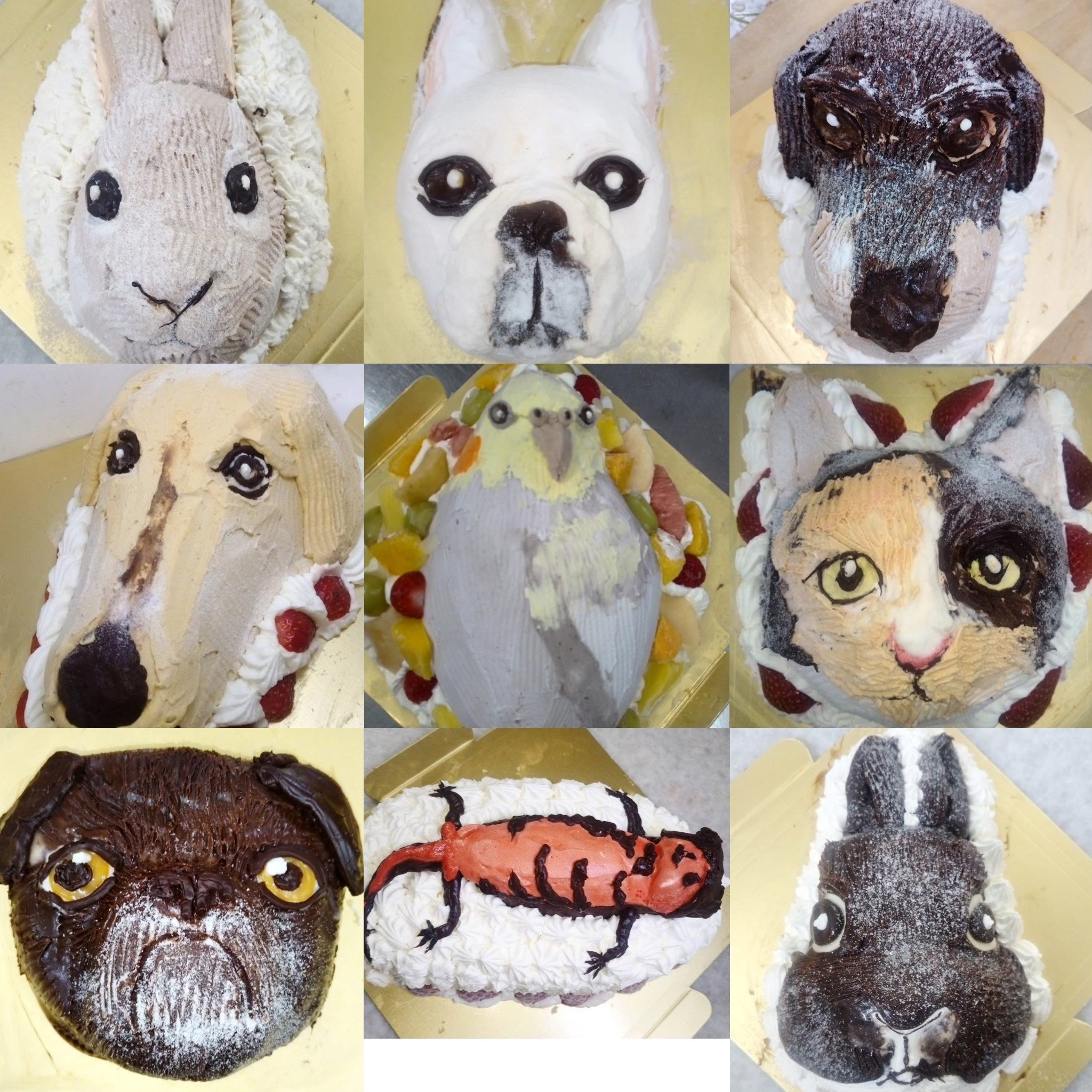 [7]̎qybgI[_[̃P[Ly21cm(̂)z