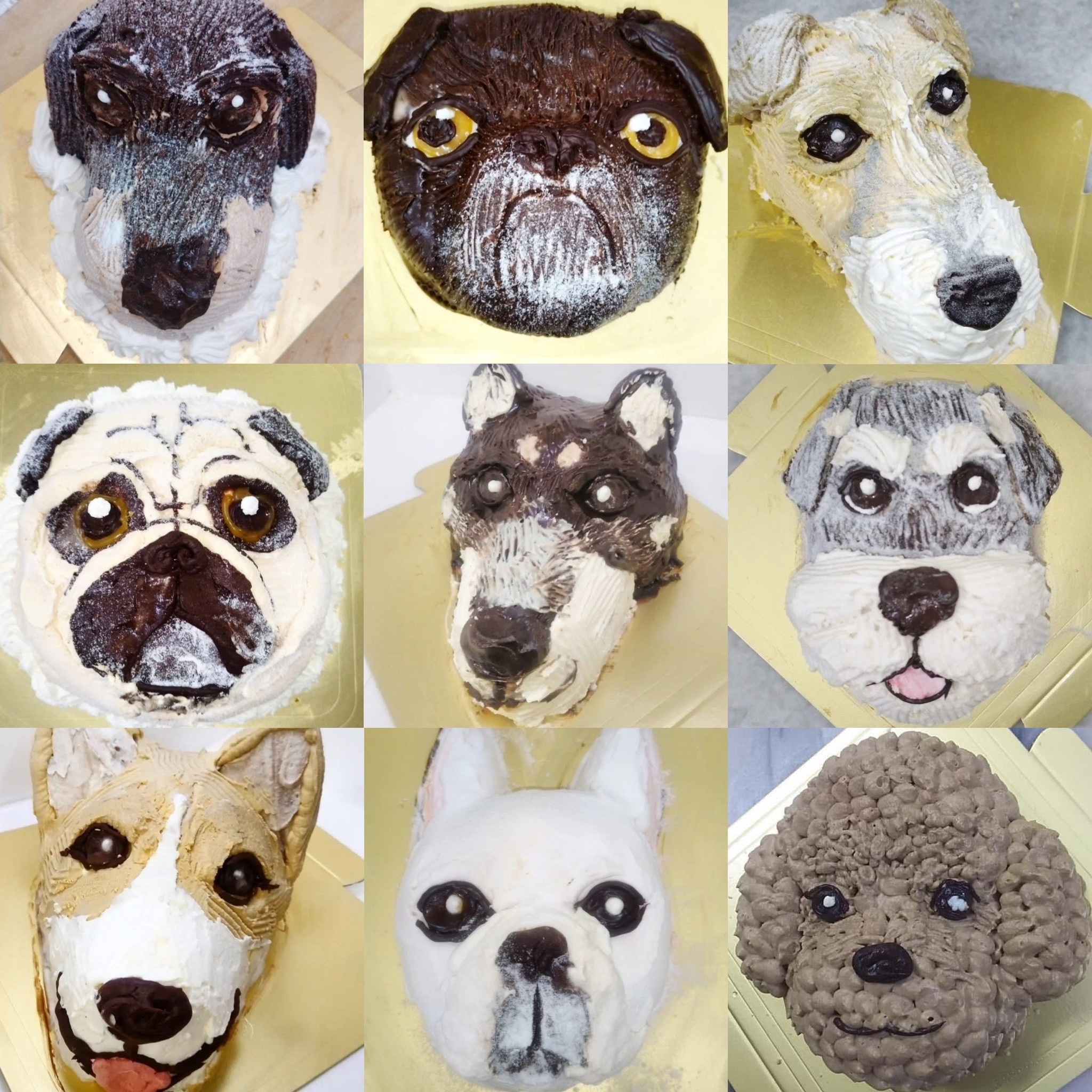 [4]̎qybgI[_[̃P[Ly12cmiCDTCYj(̂)z