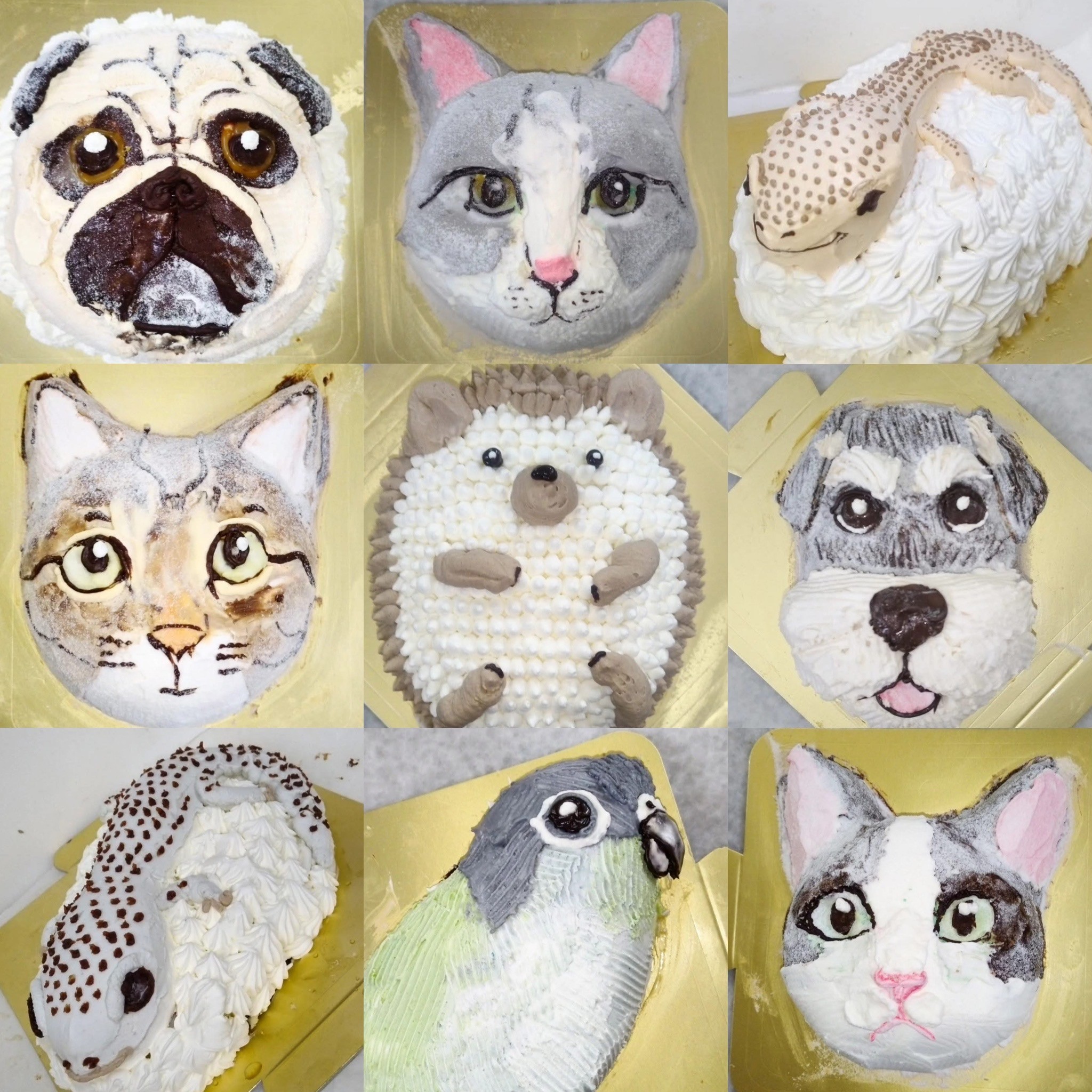 [6]̎qybgI[_[̃P[Ly18cm(̂)z