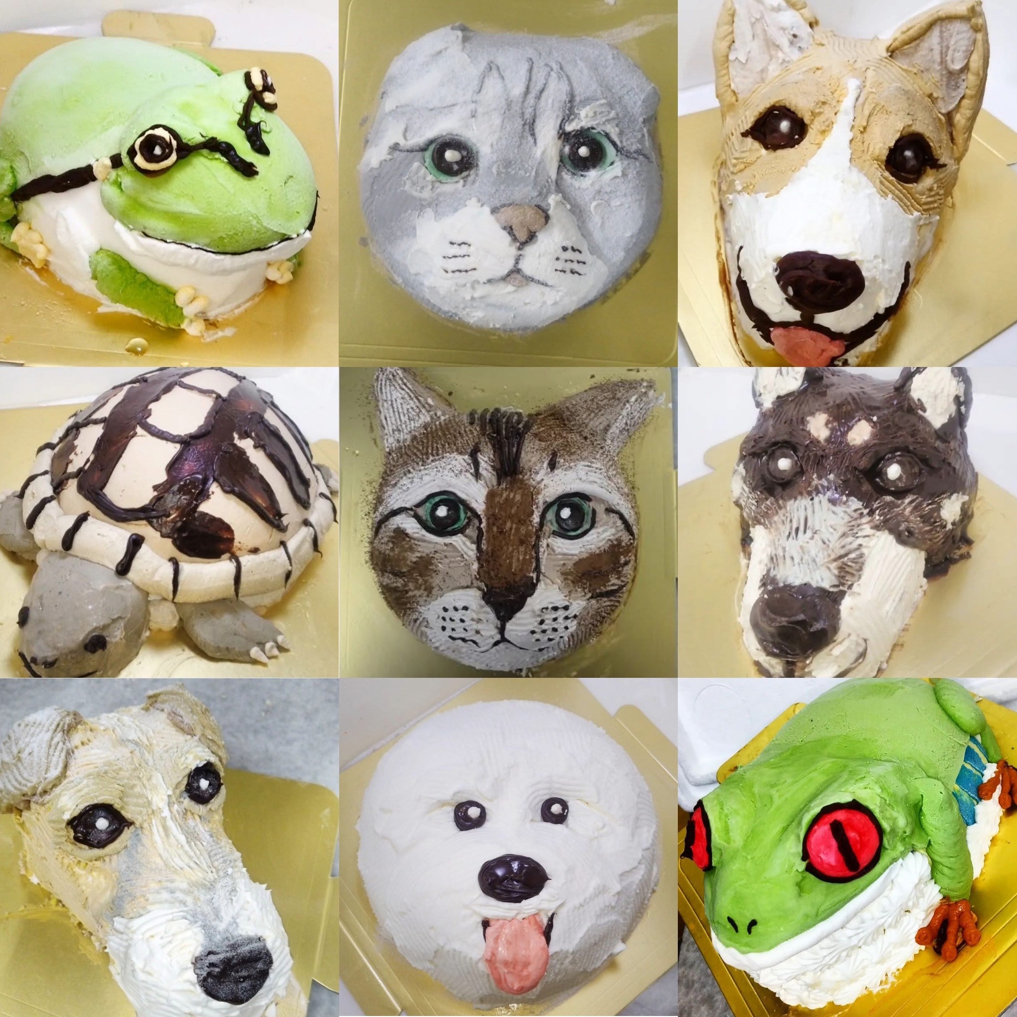 [5]̎qybgI[_[̃P[Ly15cm(̂)z