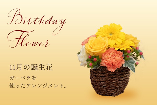 11月のお誕生日向け 11月の誕生花ガーベラを使った バースデーフラワーアレンジメント Sサイズ Flow Cake Jp