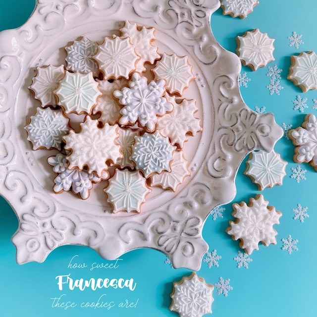 ̌̃ACVONbL[ 5 NX}X2025