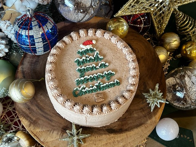 X'mas tree cake / 4号サイズ/クリスマスケーキ