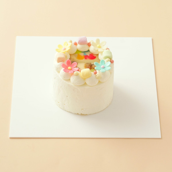 丸写真ケーキ パステル×マシュマロ 3号(1~2名様向け)
