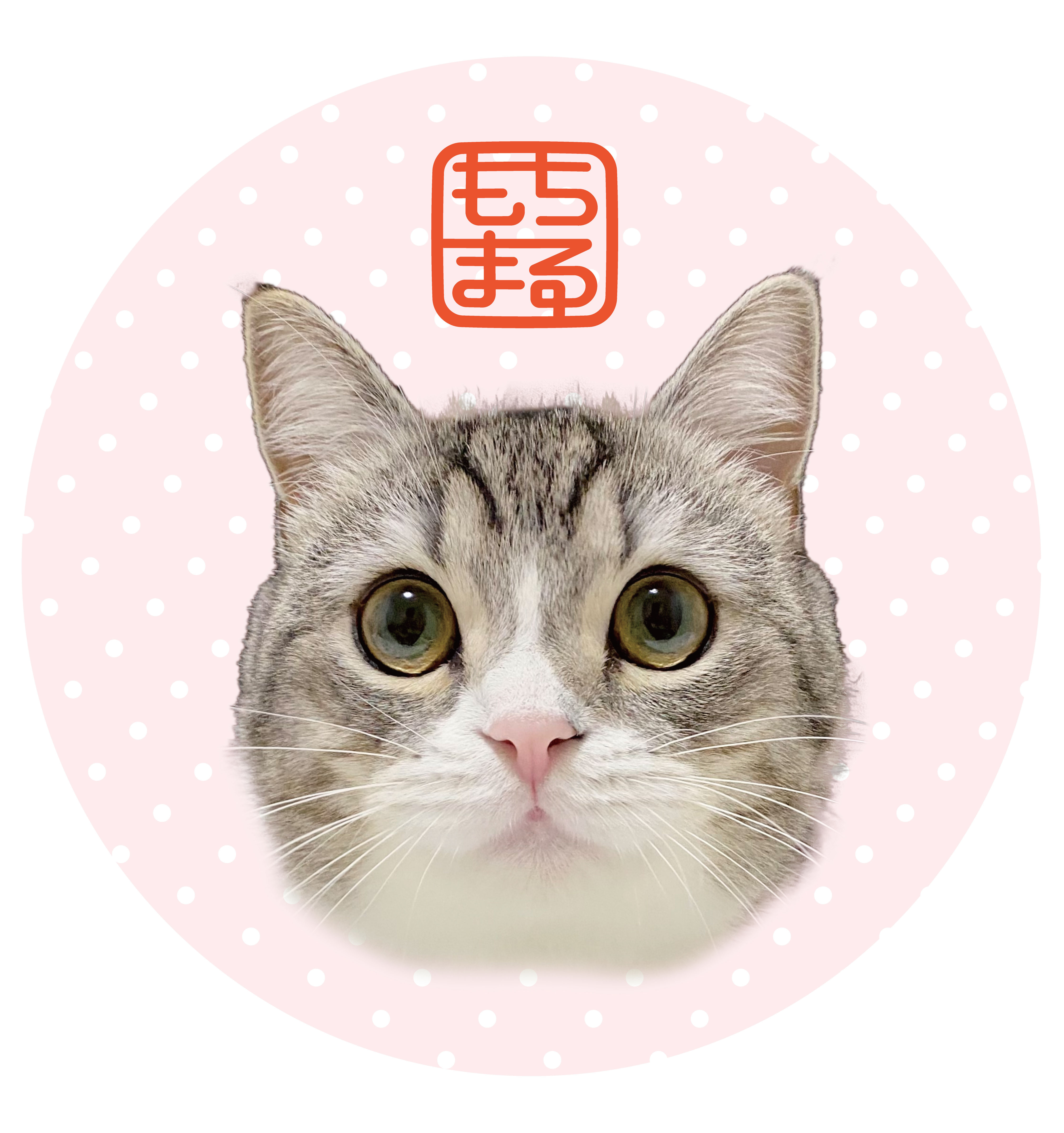 イメージ（もちさま５号）