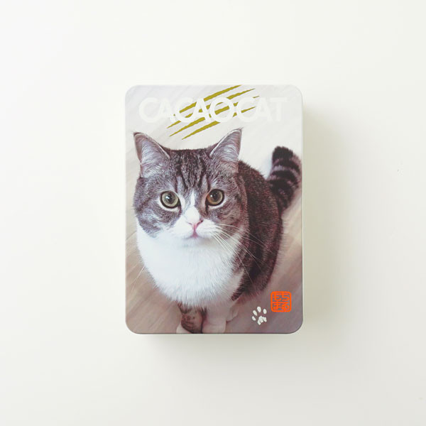 CACAOCAT缶 ミックス 14個入り もちまる日記【クリアファイル付き】 1