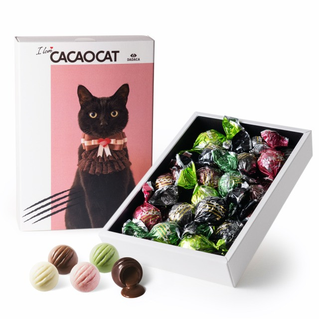 【CACAOCAT】 I love CACAOCAT ミックス 16個入り 1