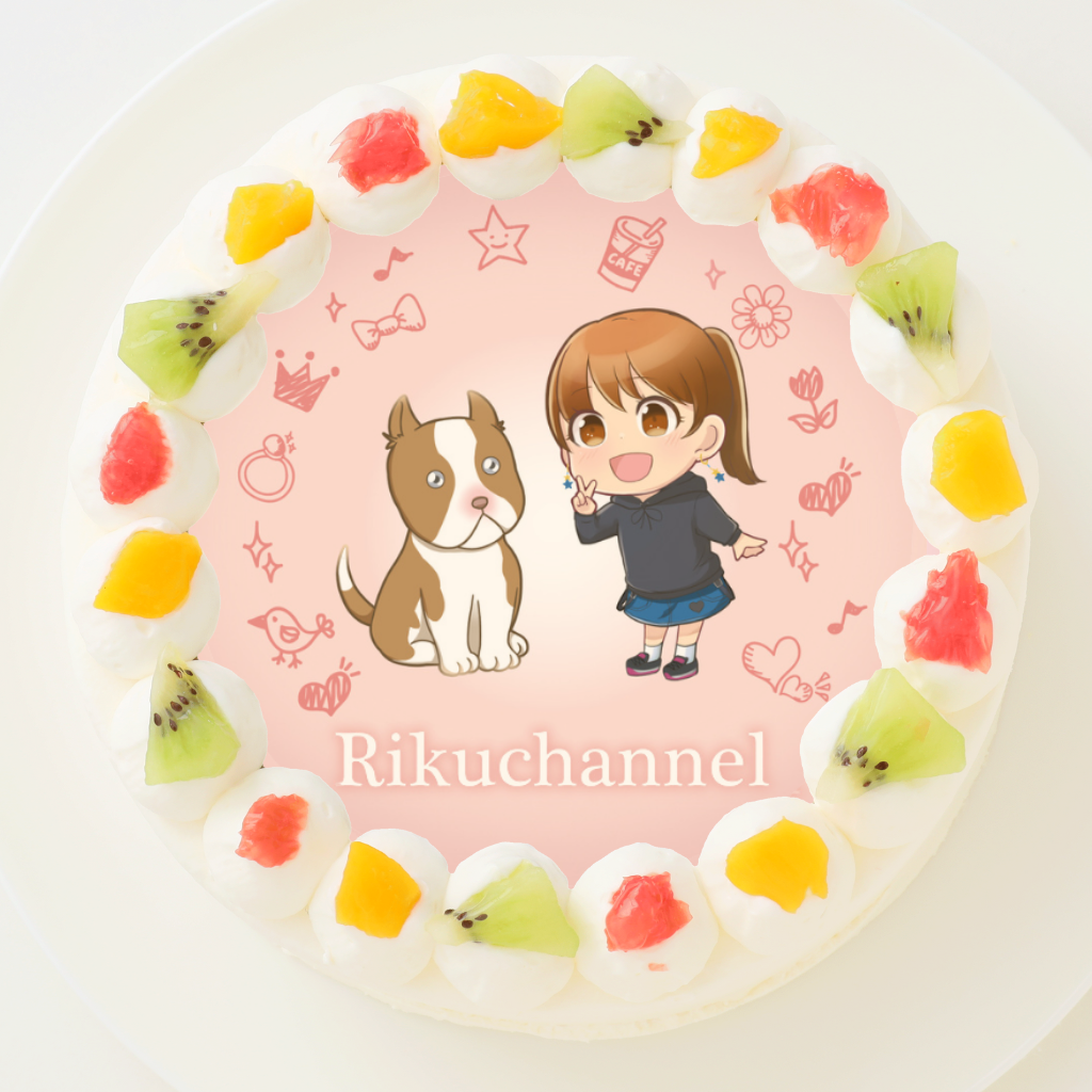 y肭Channelzی^ʐ^P[L 4 12cm