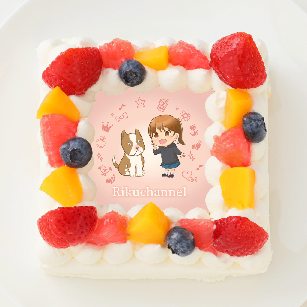 y肭Channelzlp^ʐ^P[L 6 18cm
