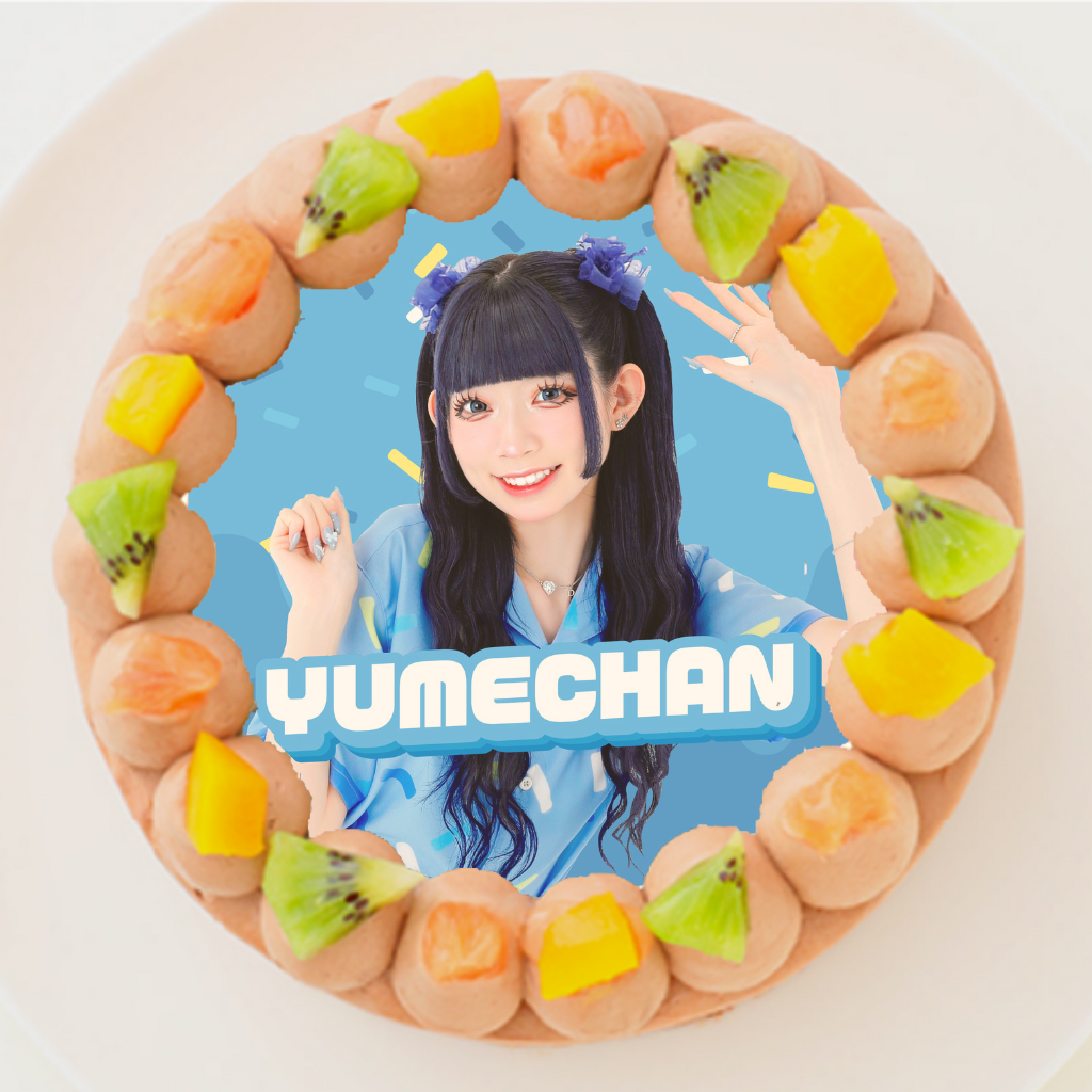 y{{TVz߂ ی^ʐ^`R[gP[L 4 12cm