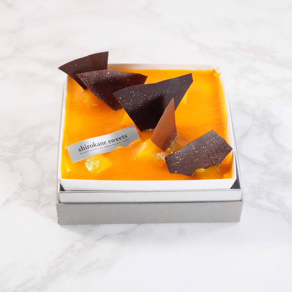 XC[cMtg{bNX eB~Xi}S[IWj