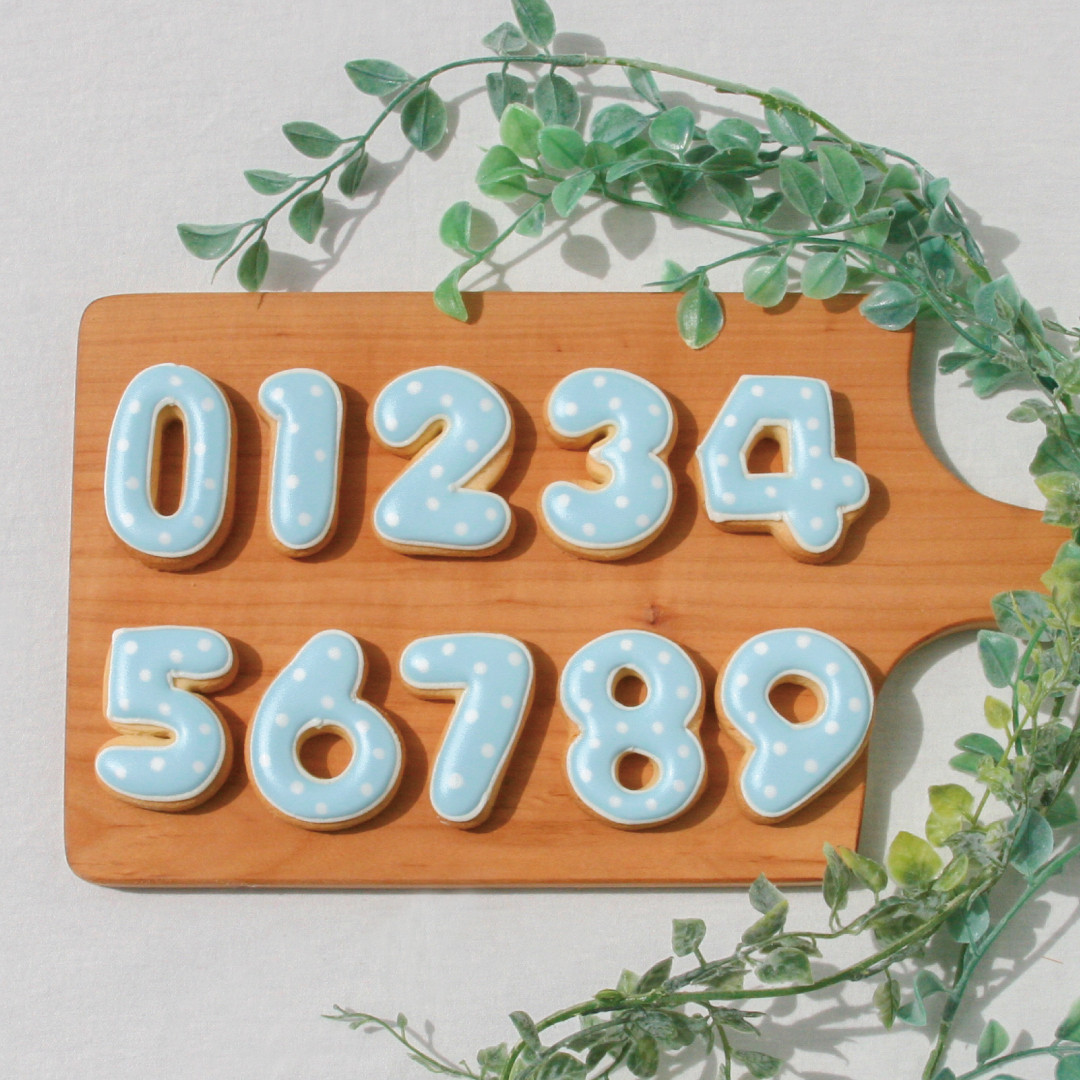 yNbL[(F)zACVONbL[  a P[L NbL[  fR[VP[L IWiP[L 킢 َq  P[L