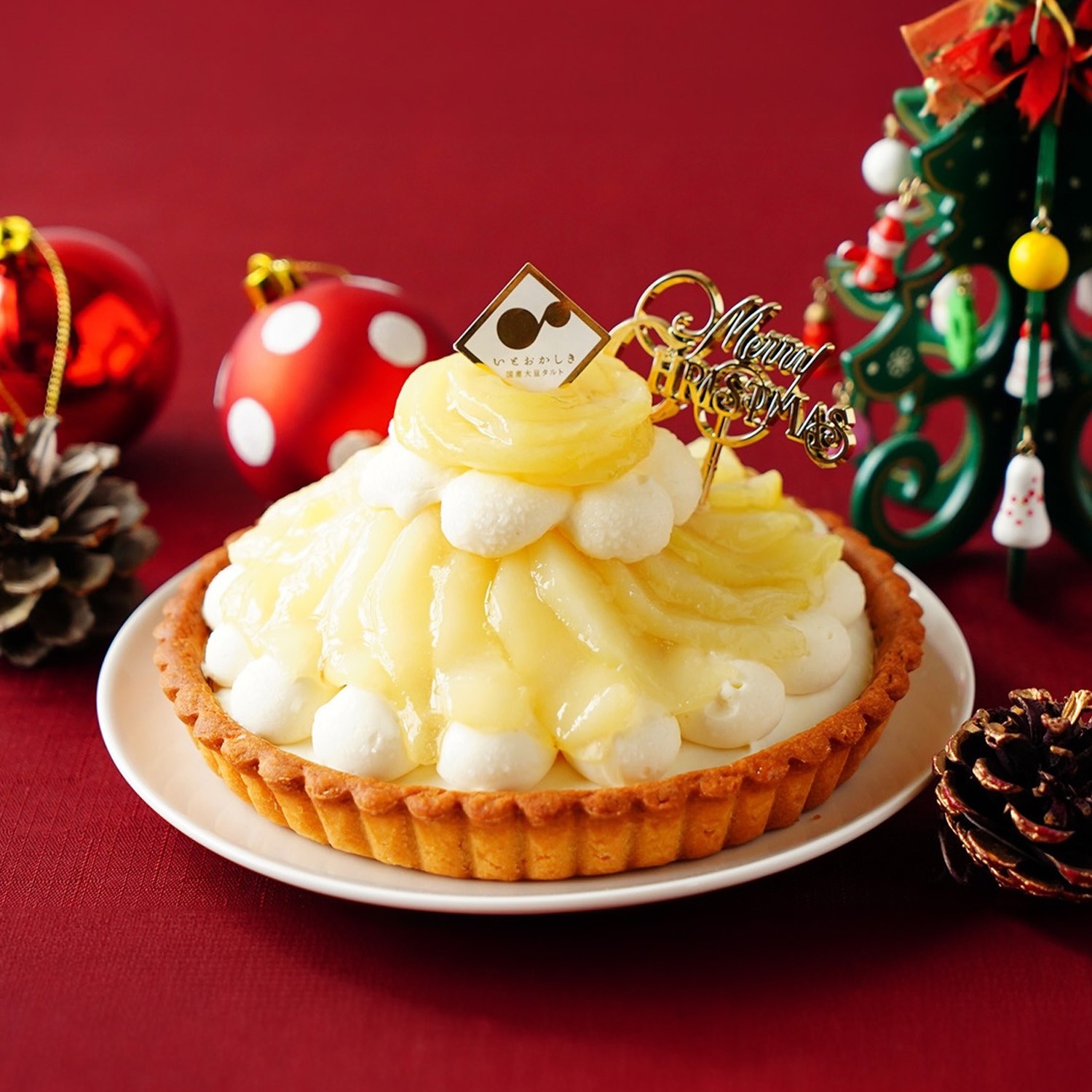 yNX}XsbNtzOet[^g쌧YEtXⓀ 5 15cm