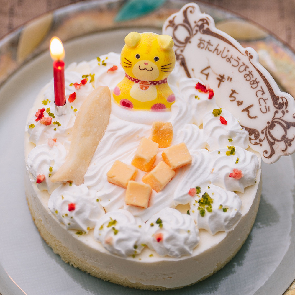 Lp lRp aP[L `[Y낲 aA`[YP[L Ov[gt ybgP[L o[Xf[ cat cake
