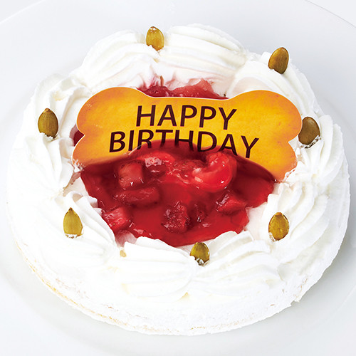 いちごのバースデーケーキ ペットケーキ 誕生日ケーキ バースデーケーキ 犬用