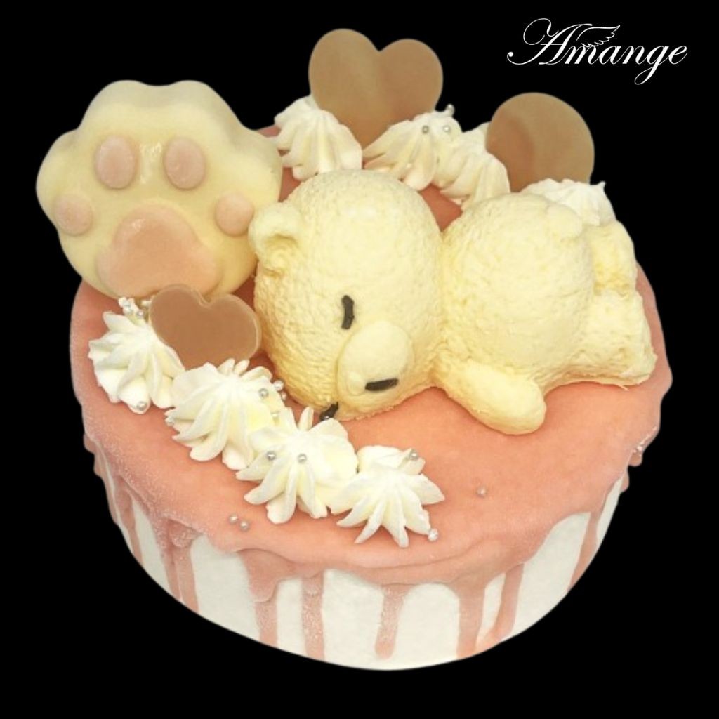 yx[V[gP[Lz܂̂킢fR 4i12cmjblC̃o[Xf[P[L