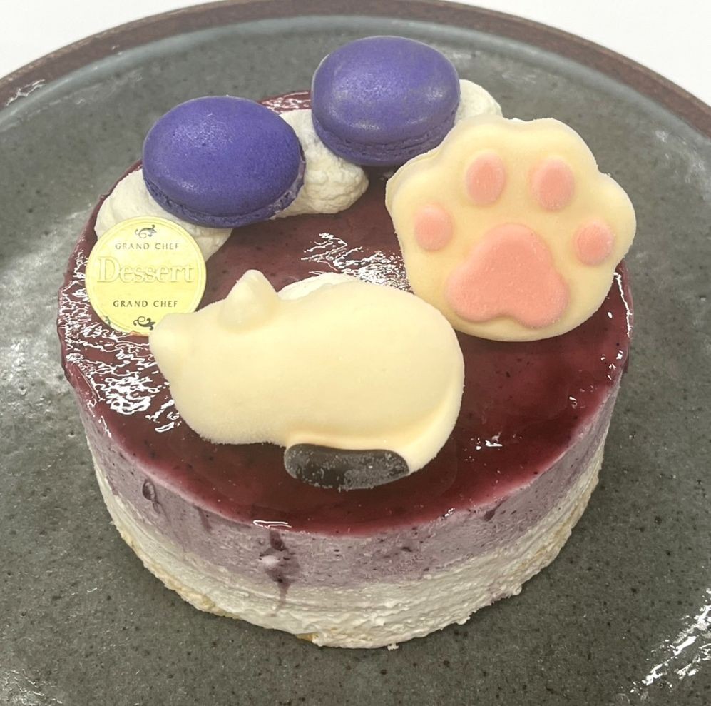 u[x[AlR̃A`[YP[L̃A`[Y5 15cm