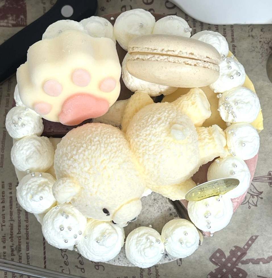レアチーズの贈り物 〜6つの味わい詰め合わせ〜