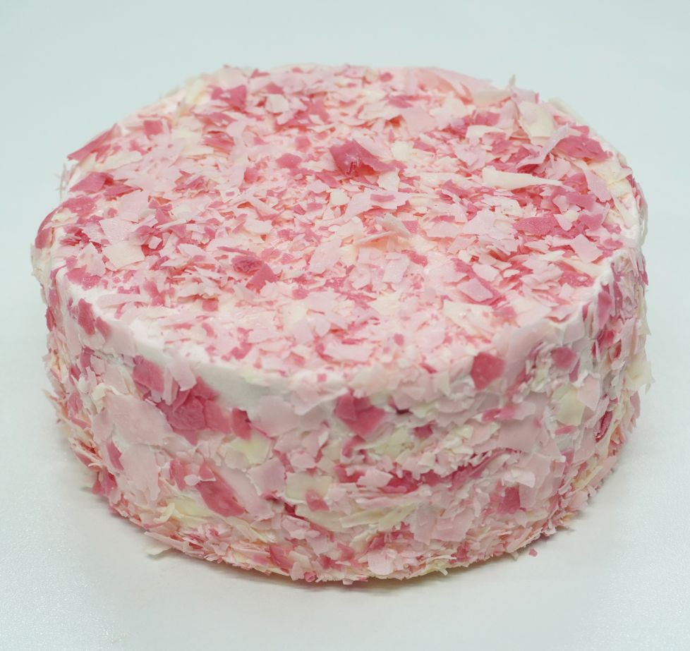 Yx[ґ򃌃A`[YP[L `ÂƎ_̐▭Ȓa`mTn