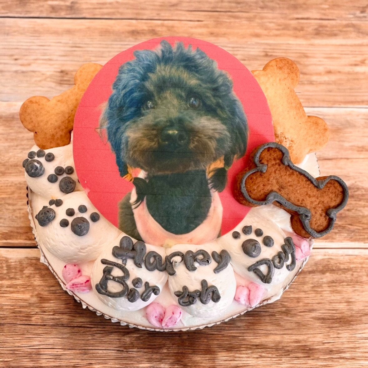 安心無添加！愛犬の証明写真でハッピーバーズデーケーキ-4号