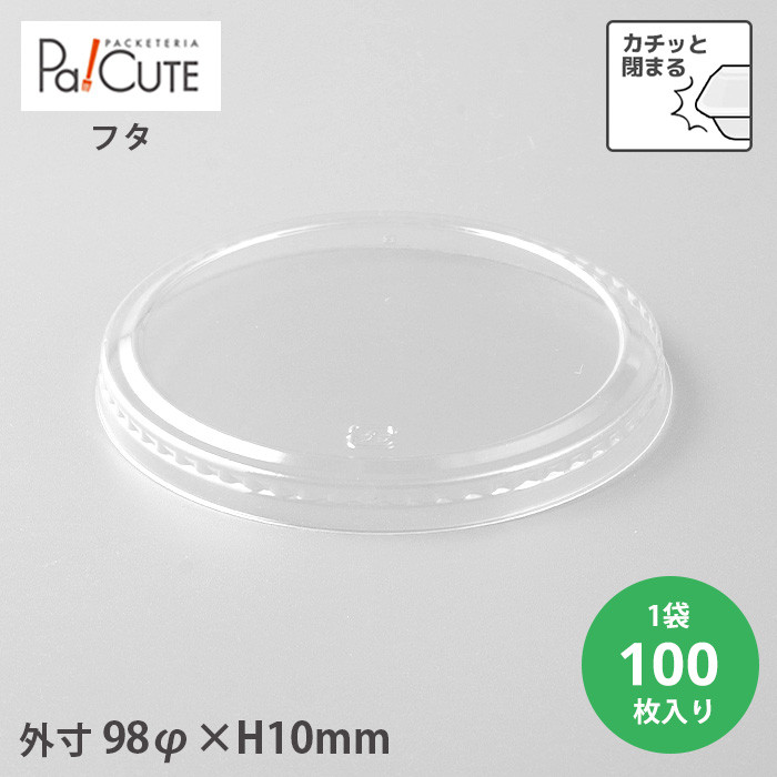 AP96FCt^ 100(20856800)