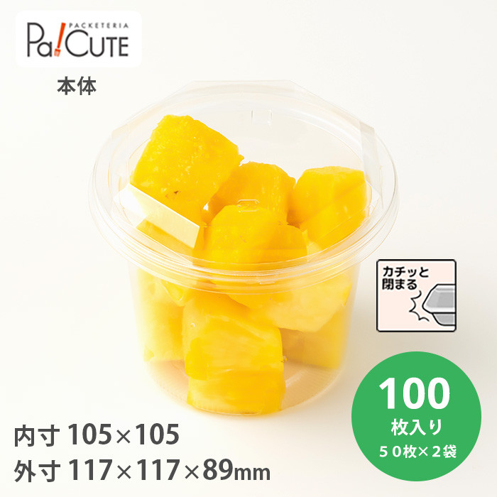 BR-122本体(バイオ) 100枚入(20633301)