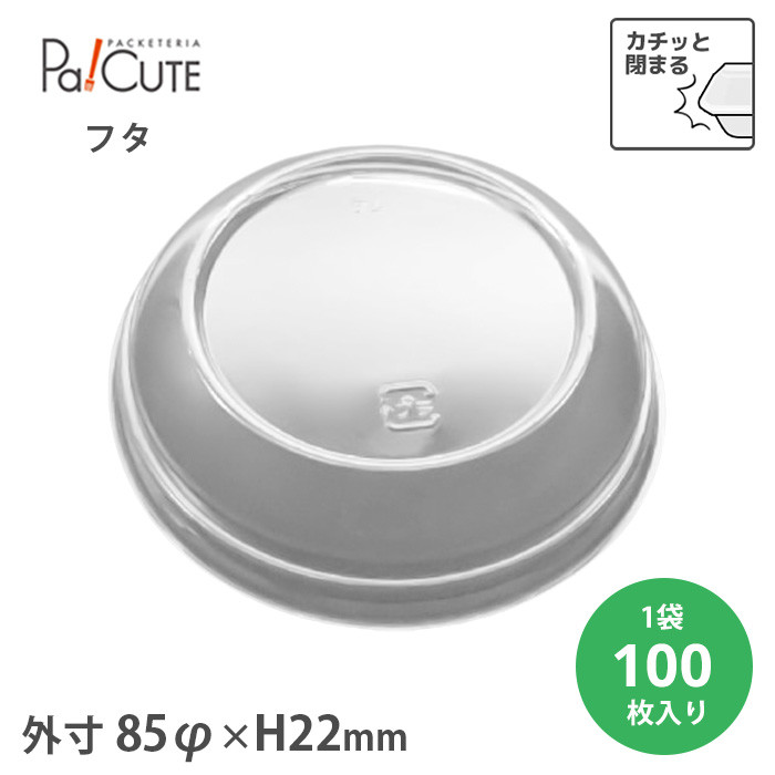 BR-81t^ 100(20571000)