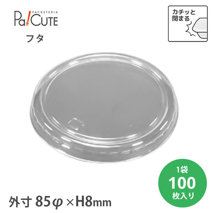 BR-81t^ 100(20789900)