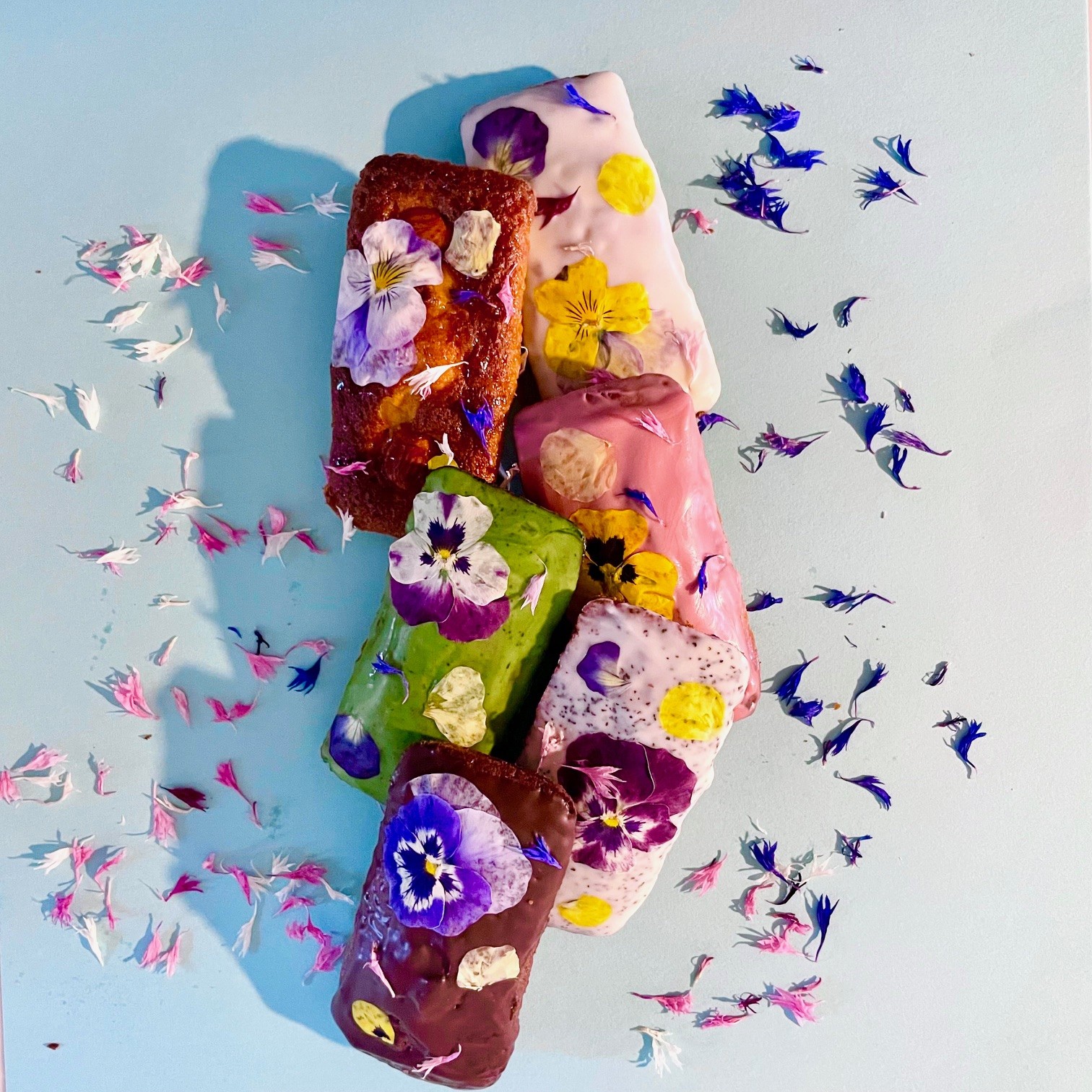 ԍ炭tBiVF - Edible Garden -