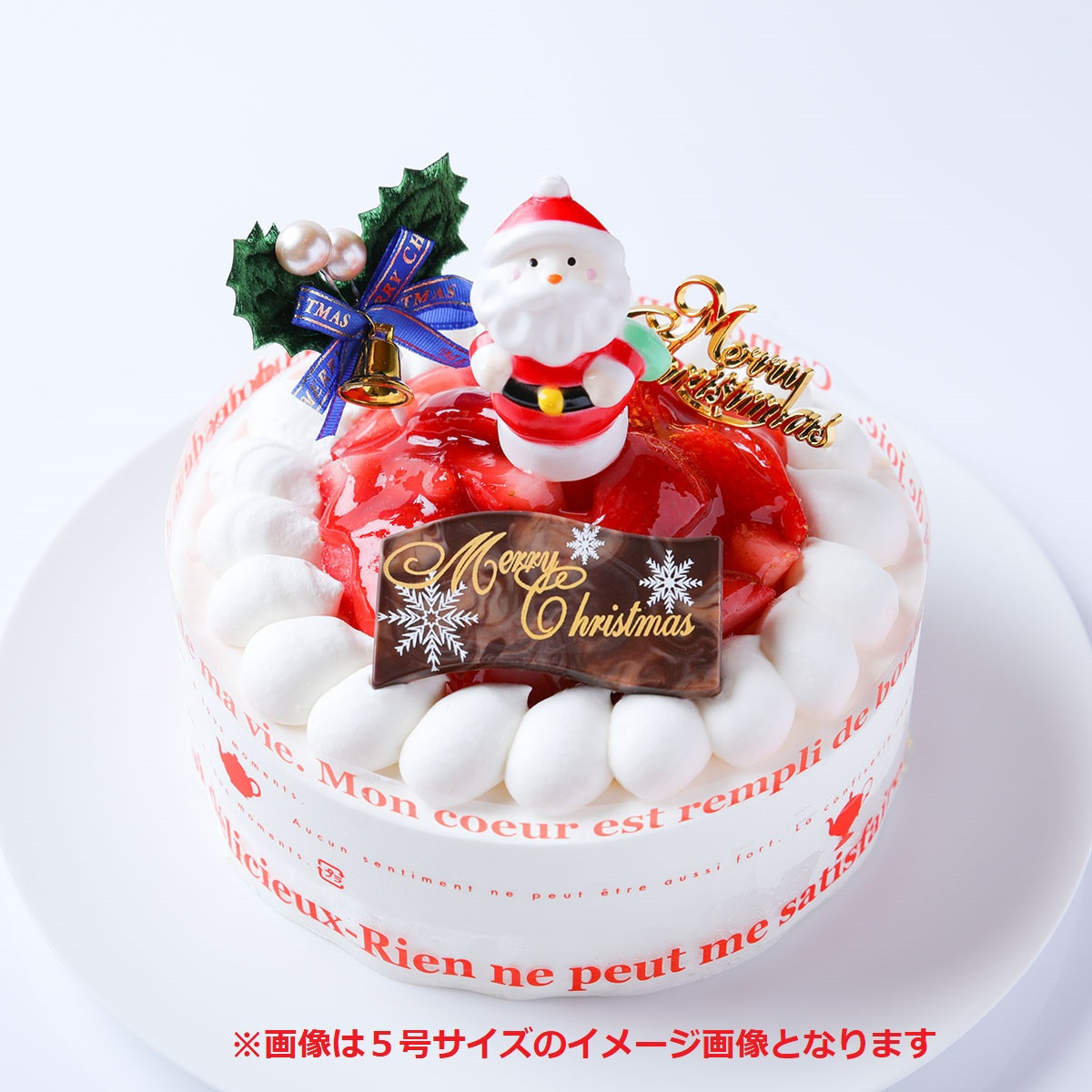 苺デコレーションケーキ 4号 12cm クリスマス2023