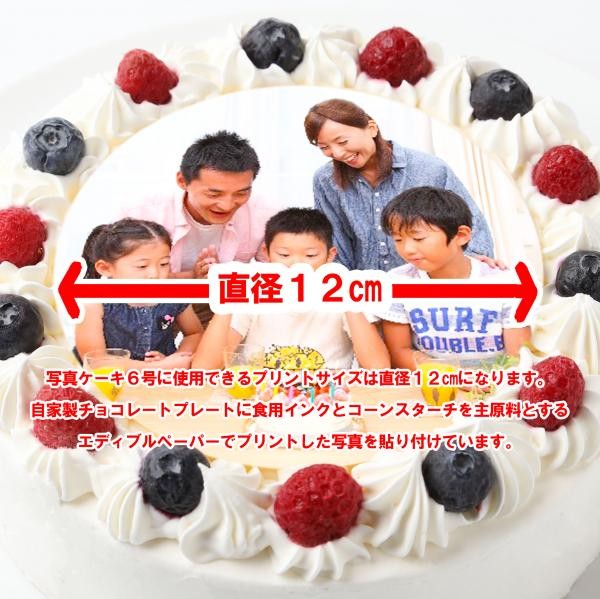 写真ケーキ苺生クリーム 6号 18cm サンタアンジェラ Cake Jp