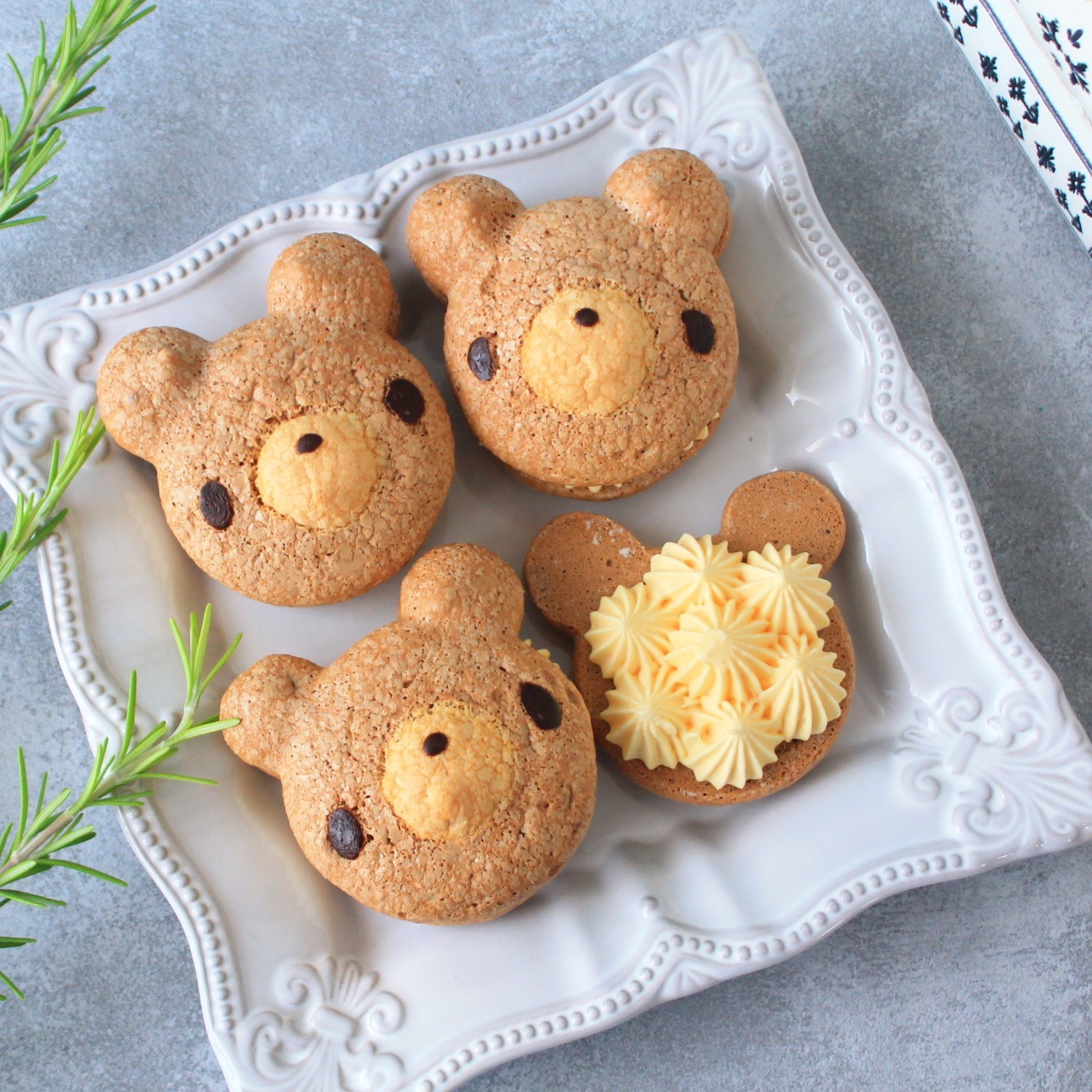 y6zS[fJX^[h efBptB\