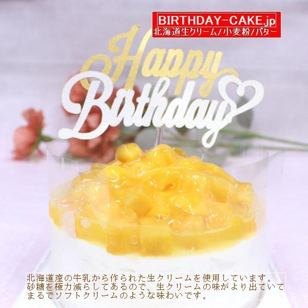 VF}S[Ղ萶N[ o[Xf[P[L 5 iLhtjkC̐N[EEo^[100gp }֑Ή