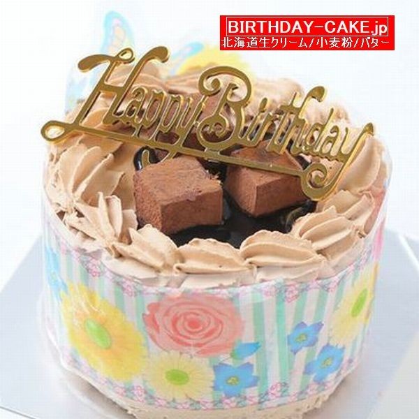 VRfR[V 3ia9cmj`R xM[Y`R[gEkC̐N[EEo^[100gp }֑ΉiLh{|XgJ[hj  i